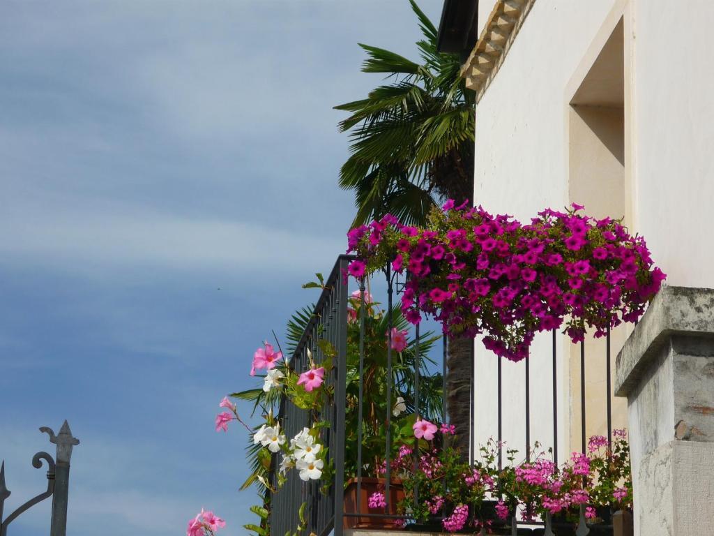 Hotel In Sylvis Sesto al Reghena Exterior foto